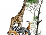 African Wildlife - Grant