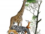 African Wildlife - Grant