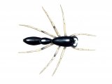 Ant Spider OS001