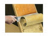 Beekeepers Uncapping Tool IN011