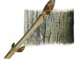 Horse Chestnut bark & twig (Aesculus hippocastanum) BT036