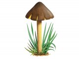 Hygrocybe spadicea (Date Waxcap) FU013