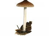 Inocybe fuscidula FU21