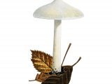 Inocybe geophylla (White Fibrecap) FU28