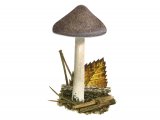 Inocybe obscurobadia FU017