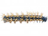 Large Tortoiseshell Caterpillar (Nymphalis polychloros) IN003