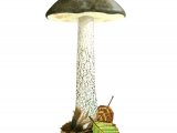 Leccinum variicolor (Mottled Bolete) FU001