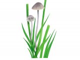 Mycena aetites (Drab Bonnet) FU009