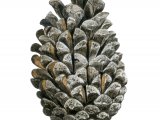 Pheasant droppings (Phasianus colchicus) BD0156
