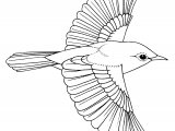 Reed Warbler (Acrocephalus scirpaceus (BD0574
