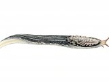Slug (Great Grey or Leopard) Limix maximus OS001 