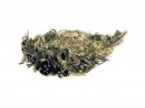 Sparrowhawk pellet (Accipiter nisus) BD0163