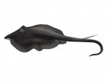 F153 - Stingray (Dasyatis pastinaca)