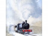 Fox & Train - Limited edition Print CG005