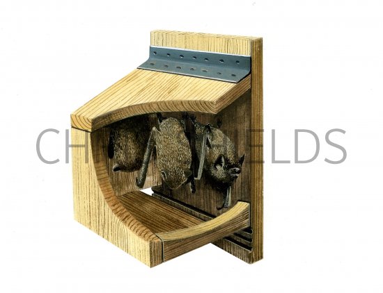 Illustration of Bat Box (#0578)