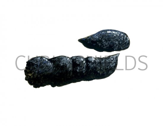 Illustration of Cat Droppings (#2777)