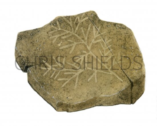 Illustration of Chondrites worm burrow fossil (#0116)