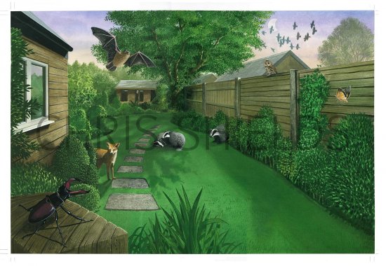 Illustration of Garden at Dusk (#2607)
