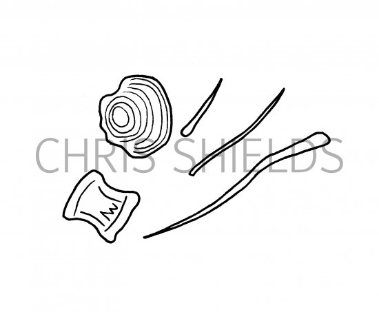 Illustration of Fish Bones from owl pellet (#3779)