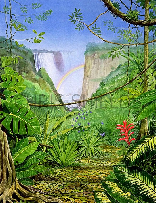 Illustration of Jungle Path (#0971)