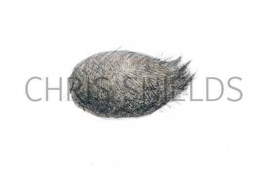 Illustration of Kestrel Pellet (Falco tinnunculus) (#0536)