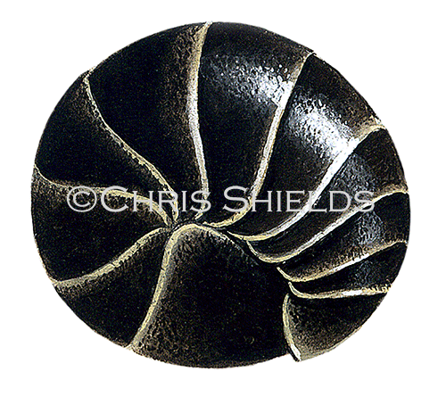 Illustration of Pill Millipede (Glomeris marginata) (#2555)