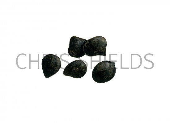 Illustration of Rabbit Droppings (#2775)