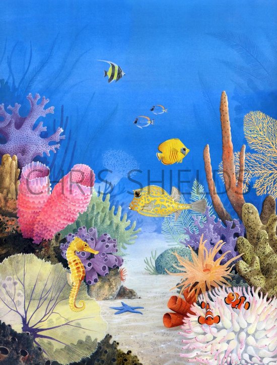 Illustration of Coral Reef (#2351)