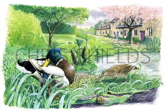 Illustration of Spring Showers (#2801)