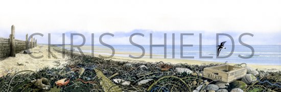 Illustration of Strandline Seascape (#0754)