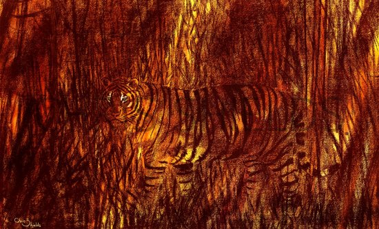 Illustration of Tiger Fire(Panthera tigris) (#1474)