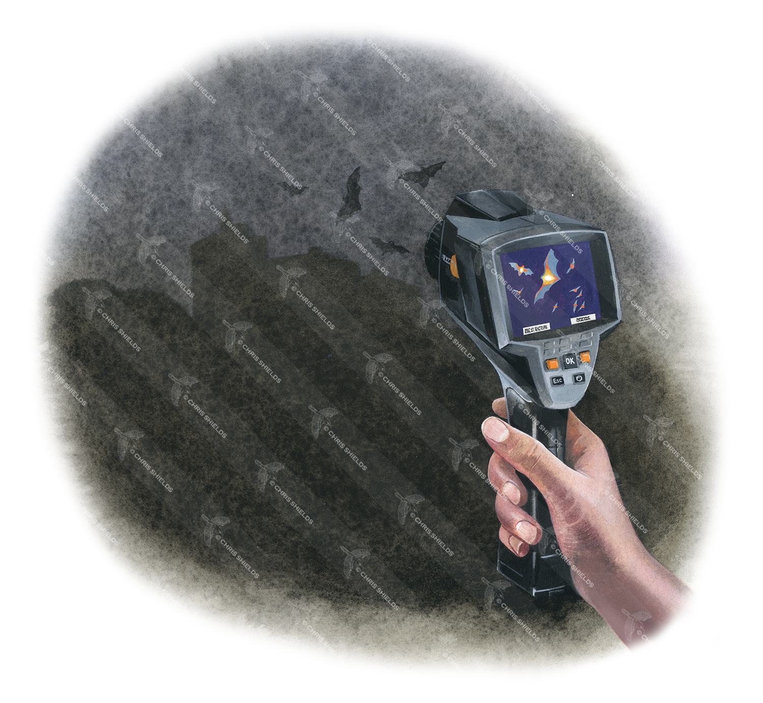 Illustration of Bat Detector (#4769)