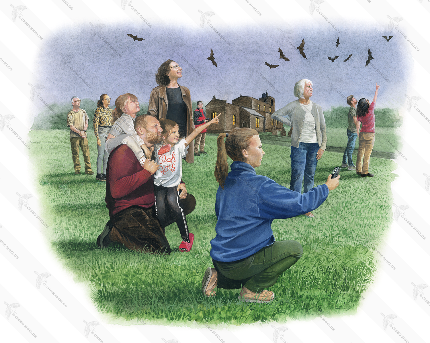 Illustration of Bat Watching (#4771)