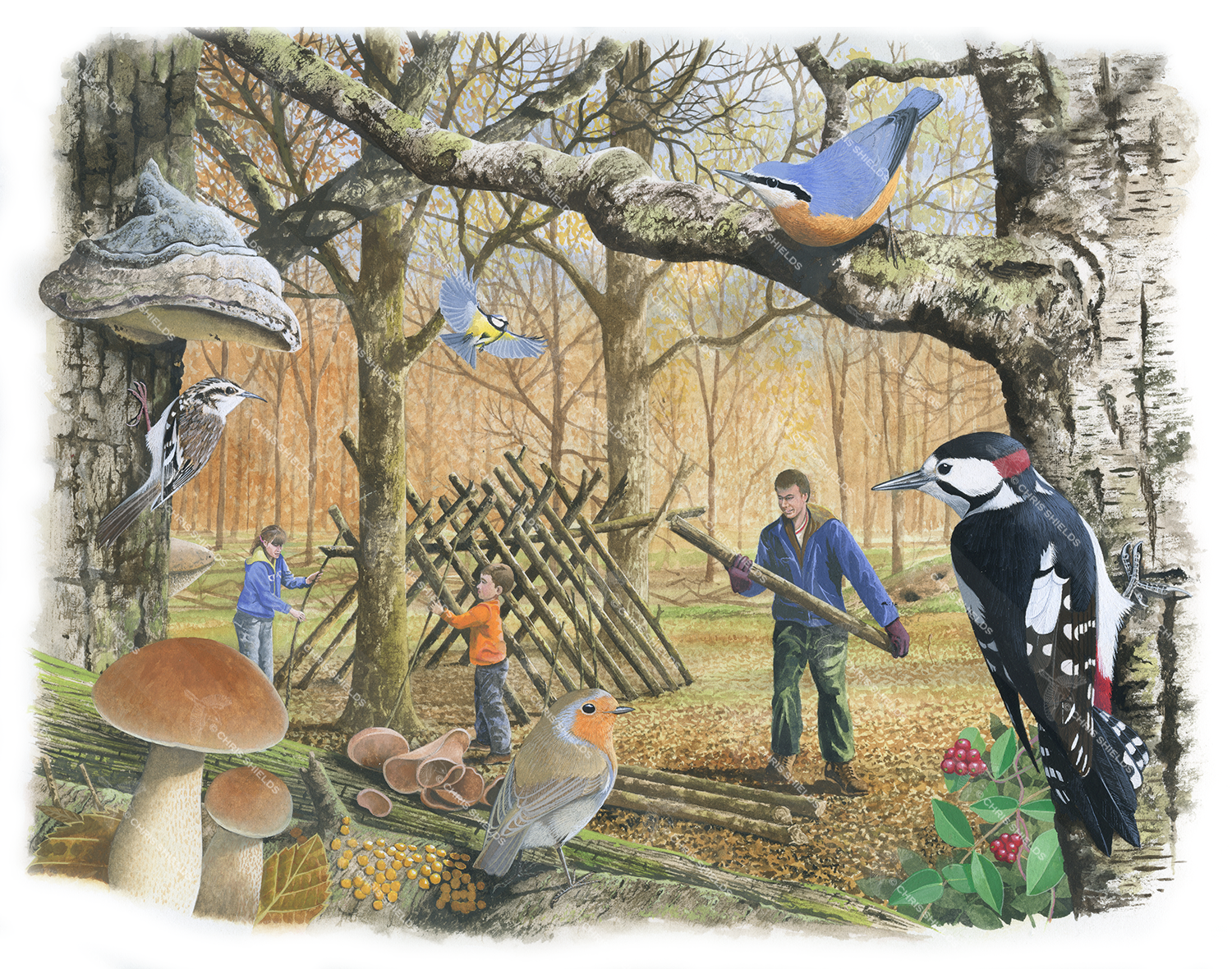 Illustration of Building a Den (#3271)