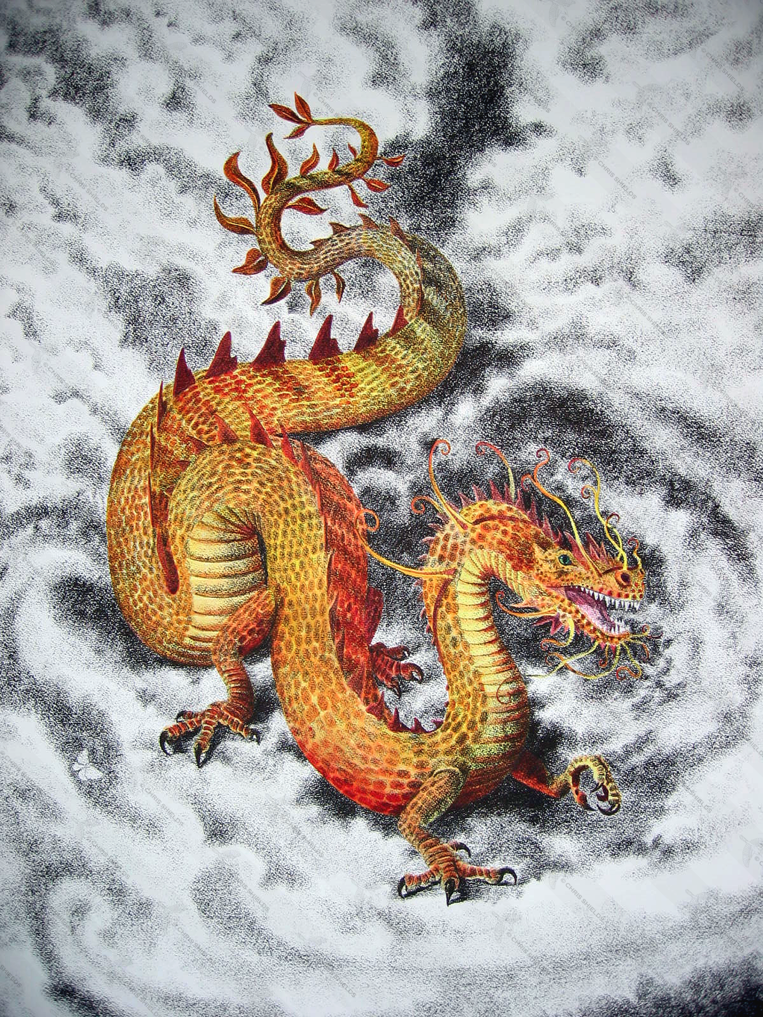 Illustration of Dragon (#0882)