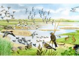 Illustration of Estuary Scene (#4121)