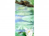 Illustration of Common Frog & lilly flower (Rana temporaria) (#0109)