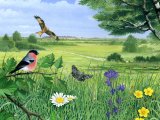 Illustration of Meadowland (#1061)