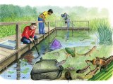 Illustration of Pond Dipping (#3429)
