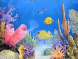 Illustration of Coral Reef (#1110)