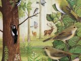 Illustration of Woodland Wildlife (#3368)