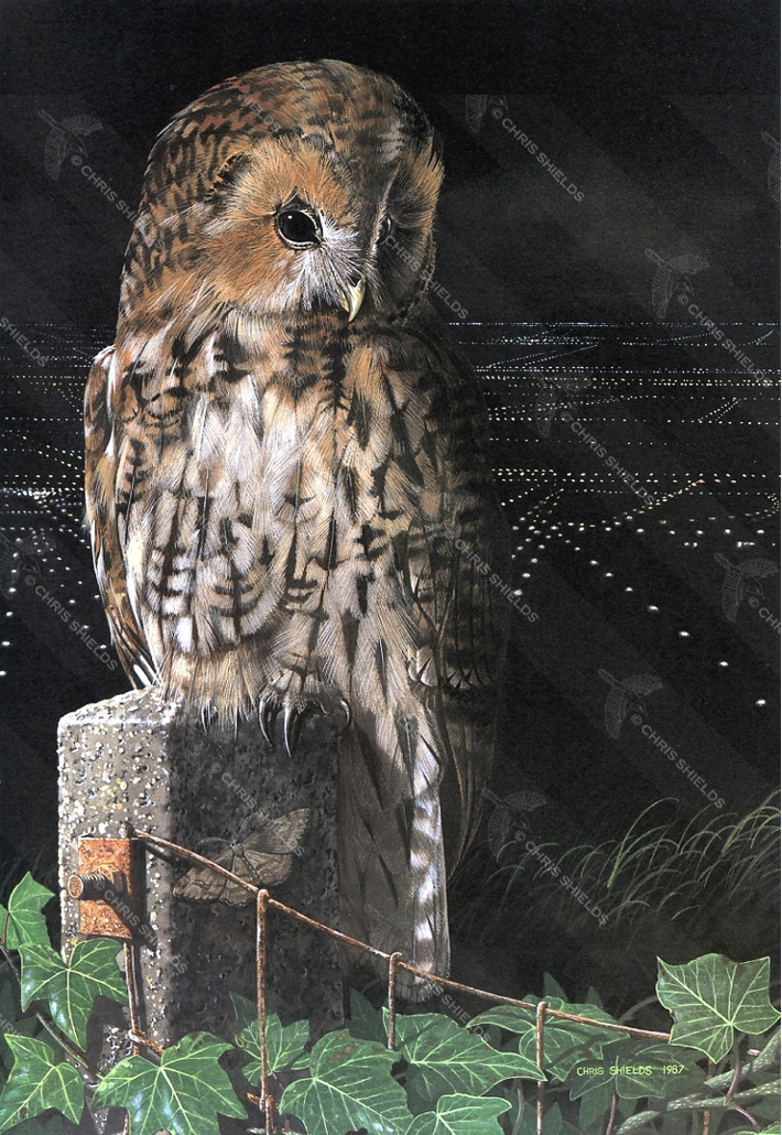 Painting of Above the City Lights