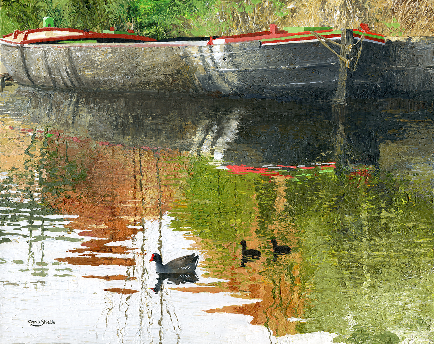 Painting of Moorhens on a Manchester Canal