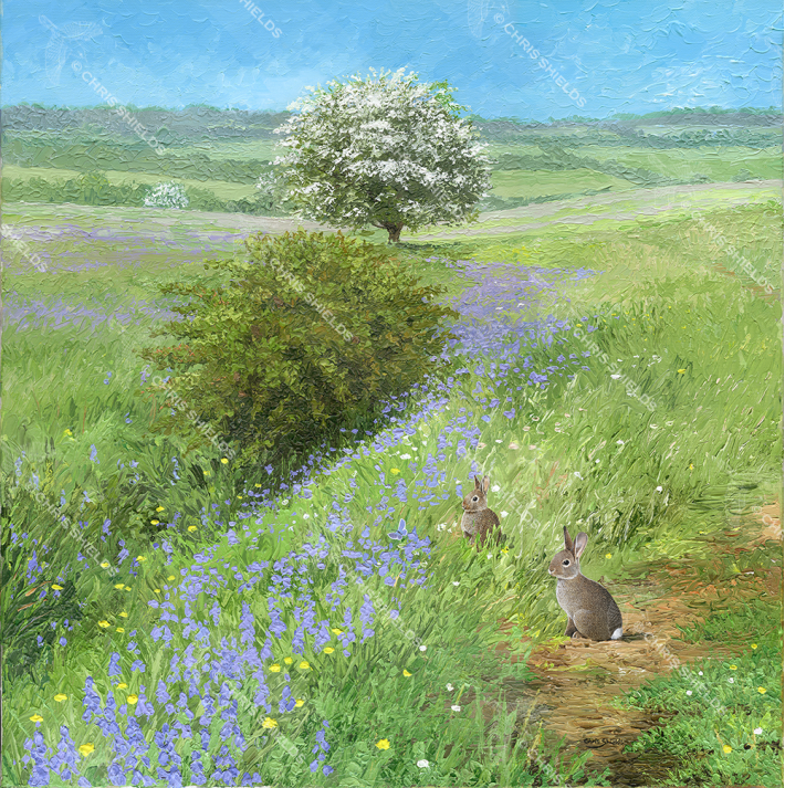 Painting of Peak District Spring