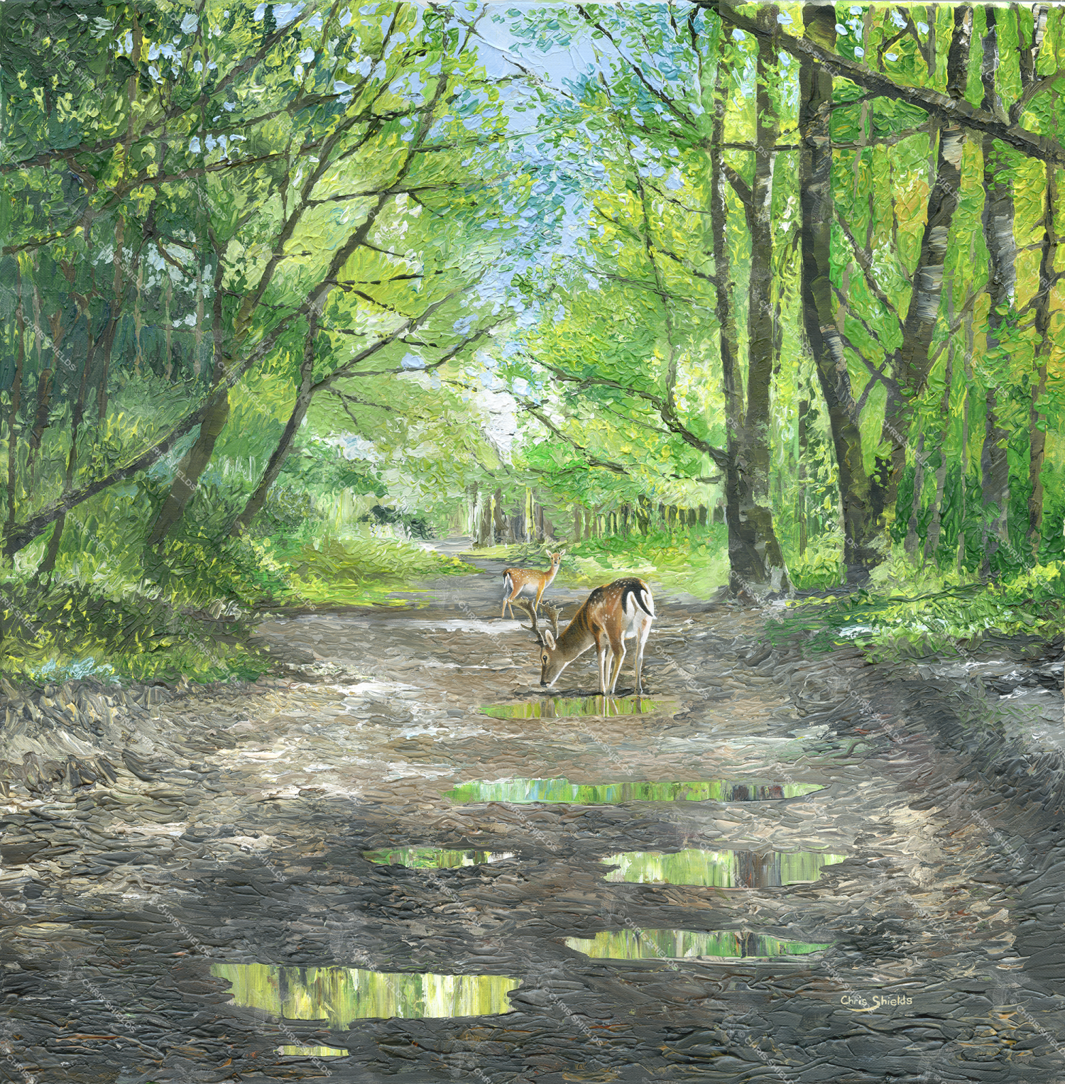 Painting of Woodland Ride